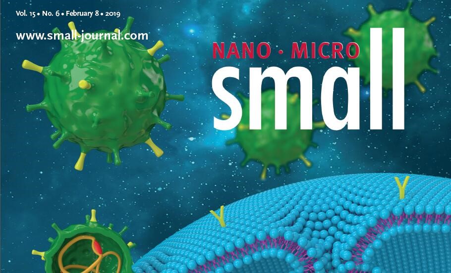 国际学术期刊Small发表雷竞技ray官网周亦武教授课题组研究成果
